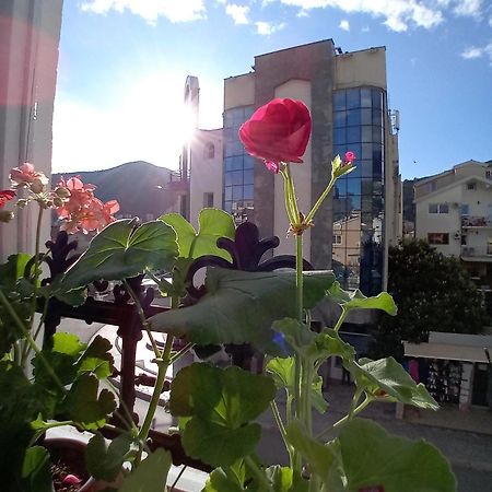 Kiwi Apartments Будва Экстерьер фото
